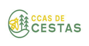 logo cestas